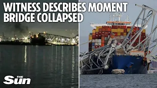 'The whole thing shook' - Witness describes horror moment ship hit bridge causing it to collapse