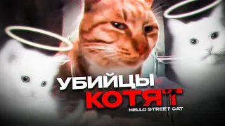 Китайские Живодёры - Hello Street Cat