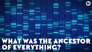 What Was the Ancestor of Everything? (feat. PBS Space Time and It’s Okay To Be Smart)