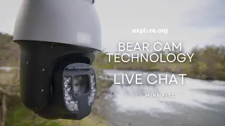 Bear Cam Technology | Brooks Live Chat