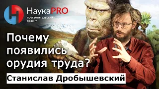 Почему древние люди начали изготавливать орудия труда? – Станислав Дробышевский | Научпоп | НаукаPRO