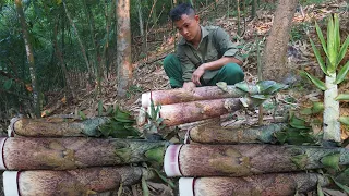 Working in agriculture, harvesting bamboo shoots at the end of the season to sell at the market 169