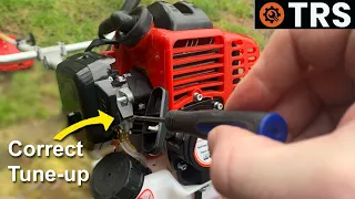 Single Tuning Screw Adjustment Weed Eater & Strimmer Carburetor (Adjusting only 1 of the 2 screws)