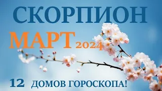 СКОРПИОН♏ МАРТ 2024 🚀 Прогноз на месяц таро расклад 👍Все знаки зодиака! 12 домов гороскопа!