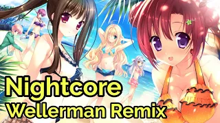 Stefan Stürmer, Bierkapitän & Julian Sommer - Mallorca ich komm heim (Nightcore Wellerman)