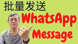 如何用WhatsApp批量发送信息给客户