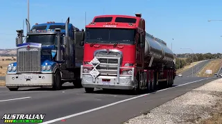 Aussie Truck Spotting Episode 29: Shea-Oak Log, South Australia 5371