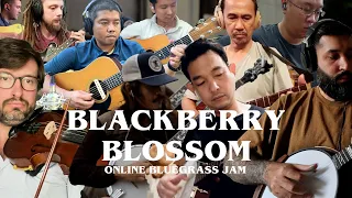 Blackberry Blossom - ft. Thai Bluegrass Musicians and NC Jam Campers - Online Bluegrass Jam