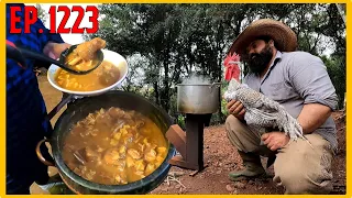 caldo de galo caipira 6 horas no fogão a lenha