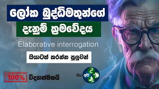 දැනුම වඩවන සුපිරිම ක්‍රමවේදය - 🧠 Elaborative Interrogation in Sinhala by Bio Api - Study Techniques
