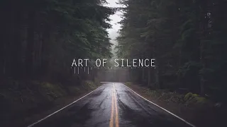 Art of Silence - Dramatic / Cinematic no copyright ( FREE TO USE) relaxing music stress relief