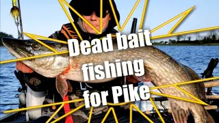 Pike fishing with dead baits on lough Erne