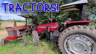 Kids and Tractors - Hiking and Exploring with our Dogs! Massey Ferguson 4270 & 180