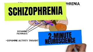 2-Minute Neuroscience: Schizophrenia