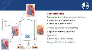 Taller de curva presión-volumen en las valvulopatías