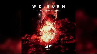 Avicii - We Burn ft. Sandro Cavazza (New version)