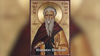 Преподобный Иларион Великий. Православный календарь 3 ноября 2022