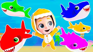 Baby Shark Doo Doo Doo + MORE Tinytots Nursery Rhymes & Kids Songs