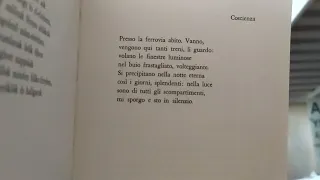 Attila Jozsef. Coscienza.