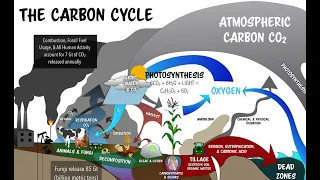 A New Look at the Carbon Cycle & Climate with Matt Powers - Regenerative Soil - EXCLUSIVE PREVIEW