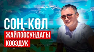 Сон-Кол.  Сон-Кол жайлоодогу кооздук (Нарын областы ,Кемпинг, Турист) ички туризм. Боз уйлор.