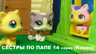 LPS СЁСТРЫ ПО ПАПЕ 14 серия (Конец)