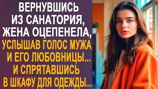 Вернувшись из санатория, жена оторопела, услышав голос мужа и его любовницы. И спрятавшись в шкафу.