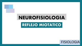 NEUROFISIOLOGIA  | Reflejo Miotático