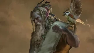 What They Don't Tell You About Firbolgs - D&D