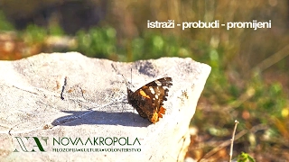 Nova Akropola Podgorica - Kurs praktične filozofije