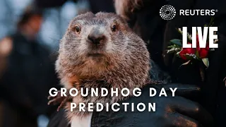 LIVE: Phil the groundhog makes his prediction on how long winter will last