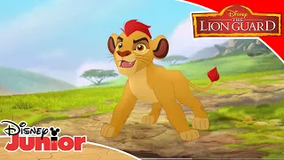 🕺Get Moving! | The Lion Guard | Disney Junior UK