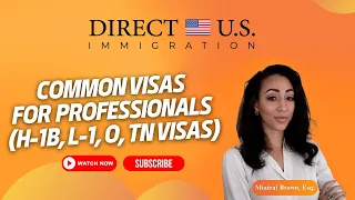 Common Visas for Professionals (H-1B, L-1, O, TN visas)