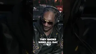 Snoop Dogg about why beginners should try sativa before indica