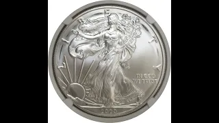 2020 (P) American Silver Eagle Emergency Production Weak Strike & Struck-Through Errors