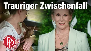 „Unsere kleine Farm“-Melissa Gilbert geschockt: „Wer tut so etwas?“ • PROMIPOOL