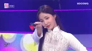 MOMOLAND - BAAM [Inkigayo Ep 968]