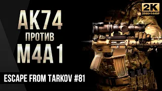 АК74 против М4А1 • Escape from Tarkov №81 [2K]