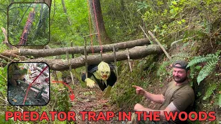 Solo Overnight Survival Instructor Builds Arnolds Predator Trap in The Woods