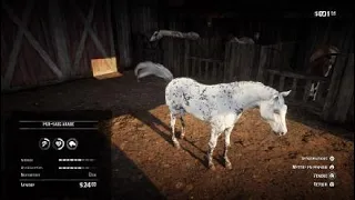 Où Trouver et Comment attraper le meilleur cheval ? Red Dead Redemption 2