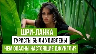 Туристы в ШОКЕ от Шри  Ланки. Чем опасны настоящие джунгли Шри Ланки? Водопад Диалума.