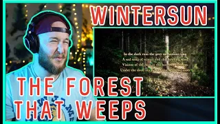 Wintersun | 'The Forest That Weeps' (Summer)' | Reaction/Review