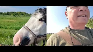 A wildlife walk around coalhouse fort and the seawall prt 1 of 2