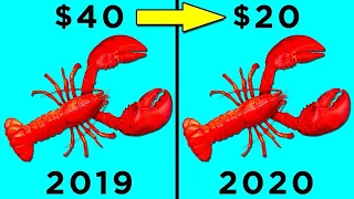 Why Lobsters are Now So Cheap