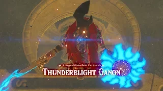 THUNDERBLIGHT GANON DLC! (Illusory Realm)