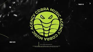 COBRA MUSIC AGENCY | Музыкальное агентство