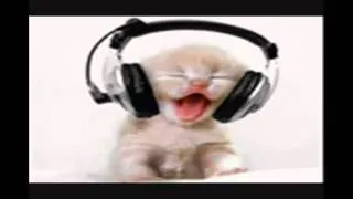 Cat Listening To GummyBear Song