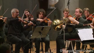 W. A. Mozart: Horn Concerto No. 2 in E-flat major, K. 417, II. Andante