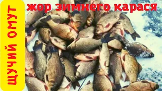 ЛОВЛЯ КАРАСЯ ЗИМОЙ НА МОТЫЛЯ СО ЛЬДА ЖОР КАРАСЯ