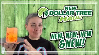*** NEW Dollar Tree Haul *** NEW NEW NEW! 4/7/24